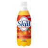 「南日本酪農協同 スコールマンゴー 500ml 1セット（48本）」の商品サムネイル画像2枚目