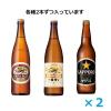 「ビール 瓶ビール アソート 3種飲み比べセット 大瓶 大ビン 633ml 1セット(6本)」の商品サムネイル画像2枚目
