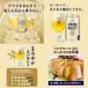 「ビール クラフトビール アソート スプリングバレー 3種飲み比べセット 350ml 1セット(12本)」の商品サムネイル画像7枚目
