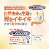 「パンシロンG 48包 3箱セット ロート製薬 胸やけ 胃痛 胃酸過多 飲みすぎ【第2類医薬品】」の商品サムネイル画像3枚目