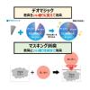 「パックリン ノーマットタイプ 60日用 本体セット（器具+ボトル） 爽やかなフラワーの香り 2個 アース・ペット 犬猫用 消臭剤」の商品サムネイル画像6枚目