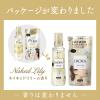 「フレアフレグランス IROKA（イロカ） ネイキッドリリーの香り 柔軟剤 詰め替え 超特大 1200ml 1セット（5個入)   花王」の商品サムネイル画像9枚目