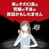 「オーラプロ 口臭治療薬 生姜瀉心湯錠 60錠 口臭 ニオイ 漢方 単品送料無料　【第2類医薬品】」の商品サムネイル画像4枚目