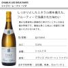 「（セール）【エノテカ】シャブリ レ ドゥ リヴ 白ワイン 辛口 750ml 1本」の商品サムネイル画像2枚目