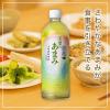 「【ワゴンセール】【賞味期限2025/10/27】コカ・コーラ 綾鷹 茶葉のあまみ 650ml 1セット（6本）（わけあり品）」の商品サムネイル画像6枚目
