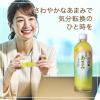 「【ワゴンセール】【賞味期限2025/10/27】コカ・コーラ 綾鷹 茶葉のあまみ 650ml 1セット（6本）（わけあり品）」の商品サムネイル画像7枚目