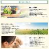 「ペットの恵み365 猫用 うまみペースト 腎臓の健康をサポート 国産（10gx4本）1袋 新東亜交易 キャットフード」の商品サムネイル画像3枚目