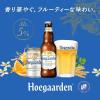 「輸入ビール ヒューガルデン ホワイト 海外ビール 瓶ビール 瓶 330ml 6本」の商品サムネイル画像3枚目