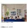 「SONOS Arc Ultra ブラック ARCG2JP1BLK 1台」の商品サムネイル画像4枚目