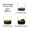 「育てるグリーン(MOSS)2 MOSS LAKOLE/ラコレ」の商品サムネイル画像9枚目