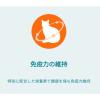 「（数量限定） ピュリナワン 猫 水分補給セット 尿路の健康維持 1歳以上 チキン 50g 12袋 ＋ おやつ免疫ケア 14g 4本 3袋 ネスレ日本」の商品サムネイル画像5枚目