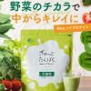 「【ワゴンセール】ぎゅっとたんぱく Neoソイプロテイン グリーンスムージー +乳酸菌　1個 不二製油（わけあり品）」の商品サムネイル画像3枚目