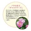 「【ワゴンセール】【賞味期限2025/8/31】ルピシア デカフェ・ダマスクローズ 紅茶TB 限定デザインBOX 1箱（10B入）（わけあり品）」の商品サムネイル画像3枚目