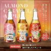 「【ワゴンセール】【賞味期限2025/11/1】月桂冠 温めてもおいしい香ばしアーモンド 500ml 1本 リキュール（わけあり品）」の商品サムネイル画像2枚目