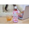 「サーフビバレッジ サーフ ピーチ烏龍茶 500ml 1箱（24本入）」の商品サムネイル画像4枚目