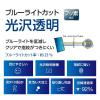 「ナカバヤシ iPad Air11インチ用 液晶保護フィルム 光沢・ブルーライトカット TBF-IPA241FLKBC 1個」の商品サムネイル画像2枚目