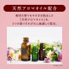 「ソフラン アロマリッチ ダイアナ 詰め替え 380ｍL 1個 柔軟剤 ライオン」の商品サムネイル画像9枚目