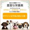 「ロイヤルゴート ミルク入り ソフトガム 骨タイプ 8本 1袋 ペットプロ ドッグフード 犬用 おやつ」の商品サムネイル画像4枚目