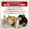 「ハッピーデイズ 純国産 無添加 しっかり噛める 牛皮ガム XL 国産 2本入 2袋 ペットプロ ドッグフード 犬用 おやつ」の商品サムネイル画像8枚目