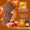 「チョコレート 個包装 カレ・ド・ショコラ カカオ70　キャラメル 18枚入 1個」の商品サムネイル画像3枚目