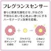 「マシェリ　フレグランス　ボディソープ　ｆ フローラルフルーティの香り 450ml×3個 ファイントゥデイ 液体タイプ」の商品サムネイル画像6枚目