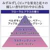 「専科　パーフェクトバブル　フォーボディ　フローラルプラスｆ フローラルプラスの香り 500ml×3個 ファイントゥデイ 液体タイプ」の商品サムネイル画像6枚目