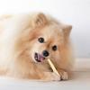 「【ワゴンセール】ドギーマン 無添加良品 犬 カムカムデンタルコーン ツイスト ベア チキン風味 5本 1袋（わけあり品）」の商品サムネイル画像4枚目