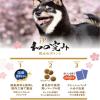「【ワゴンセール】【賞味期限2025/12/31】和の究み 小粒 グレインフリーフィッシュ味 1歳から （500g×5パック）1袋（わけあり品）」の商品サムネイル画像3枚目
