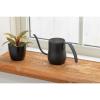 「【園芸用品】TETSUNAGI Plant pitcher BLACK 水差し T200301 1個」の商品サムネイル画像2枚目
