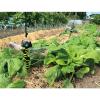「【並行輸入品】【虫よけ】 高芝ギムネ製作所 園芸用 害虫の天敵 オニヤンマ兄弟 5匹入 Mー52 1個」の商品サムネイル画像8枚目