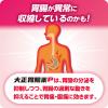 「大正胃腸薬P 10カプセル 大正製薬 ★控除★ ストレス・緊張などによる急な胃痛 さしこみ【第2類医薬品】」の商品サムネイル画像6枚目