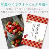 「エレコム スーパーファイン紙/高画質用/超特厚/両面/A3 EJK-SRCTPA310 1個(10枚入)」の商品サムネイル画像3枚目