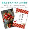 「エレコム スーパーファイン紙 高画質用 薄手 片面 A4 50枚 EJK-SUPA450 1個」の商品サムネイル画像3枚目