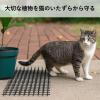 「ユメミグサ ジョイントできる猫よけマット　8枚入り　M ANー3ー2 1セット（8枚入）」の商品サムネイル画像7枚目