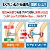「ミズナイン 60錠 小林製薬 ★控除★ 関節のはれや痛み ひざのはれ ひざの痛み【第2類医薬品】」の商品サムネイル画像4枚目