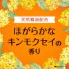 「スッキーリ！ トイレ用 消臭剤 芳香剤 置き型 ほがらかなキンモクセイ 400mL 1個 アース製」の商品サムネイル画像5枚目