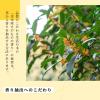 「生活の木 金木犀リードディフューザー 120ｍL 1個」の商品サムネイル画像4枚目