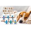 「ベッツウェル 犬用食事療法食 腎臓ケア 1kg 1袋 マルカン ドッグフード」の商品サムネイル画像7枚目