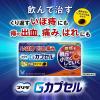 「プリザ Gカプセル 24カプセル 大正製薬 いぼ痔 痔の出血・痛み・はれ【第2類医薬品】」の商品サムネイル画像3枚目