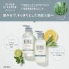 「数量限定 BOTANIST（ボタニスト） ヘアケアトライアルセット スカルプクレンズ（10周年限定） 740ml I-ne」の商品サムネイル画像2枚目