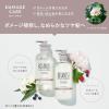 「数量限定　BOTANIST（ボタニスト） ヘアケアトライアルセット ダメージケア （10周年限定） 740ml I-ne」の商品サムネイル画像2枚目