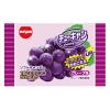 「子ども向けお菓子 駄菓子 チューキャン グレープ 13g 1セット（1個×40）」の商品サムネイル画像2枚目