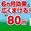 「フマキラー カダン除草王シリーズ オールキラー粒剤 400g 4902424450071 1個」の商品サムネイル画像5枚目
