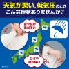 「テイラック カンセクト 24錠 小林製薬 ★控除★ 低気圧による関節の痛み 頭痛 だるさ めまい【第2類医薬品】」の商品サムネイル画像3枚目