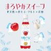 「【ワゴンセール】【賞味期限2025/10/13】伊藤園 お酢ぐるとソーダ りんご酢 400ml 1セット（6本）（わけあり品）」の商品サムネイル画像3枚目