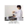 「石井ブラシ産業 ビーカー洗浄用ブラシ 60×80mm 7-5657-02 1本」の商品サムネイル画像2枚目