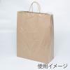 「シモジマ ポリ袋 バイオレイニーポリ 40-65 (カスタム用) 006607155 1袋(50枚)」の商品サムネイル画像2枚目