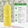 「キリン 生茶ラベルレス ケース販売品 2L 1セット（18本） お茶 緑茶 ペットボトル キリンビバレッジ」の商品サムネイル画像6枚目
