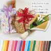 「シモジマ ペーパーラフィア 5×50 #06 ダフォディル 001501206 1巻」の商品サムネイル画像2枚目