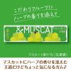 「ガム こだわりフルーツ ＆マスカット 1個」の商品サムネイル画像2枚目
